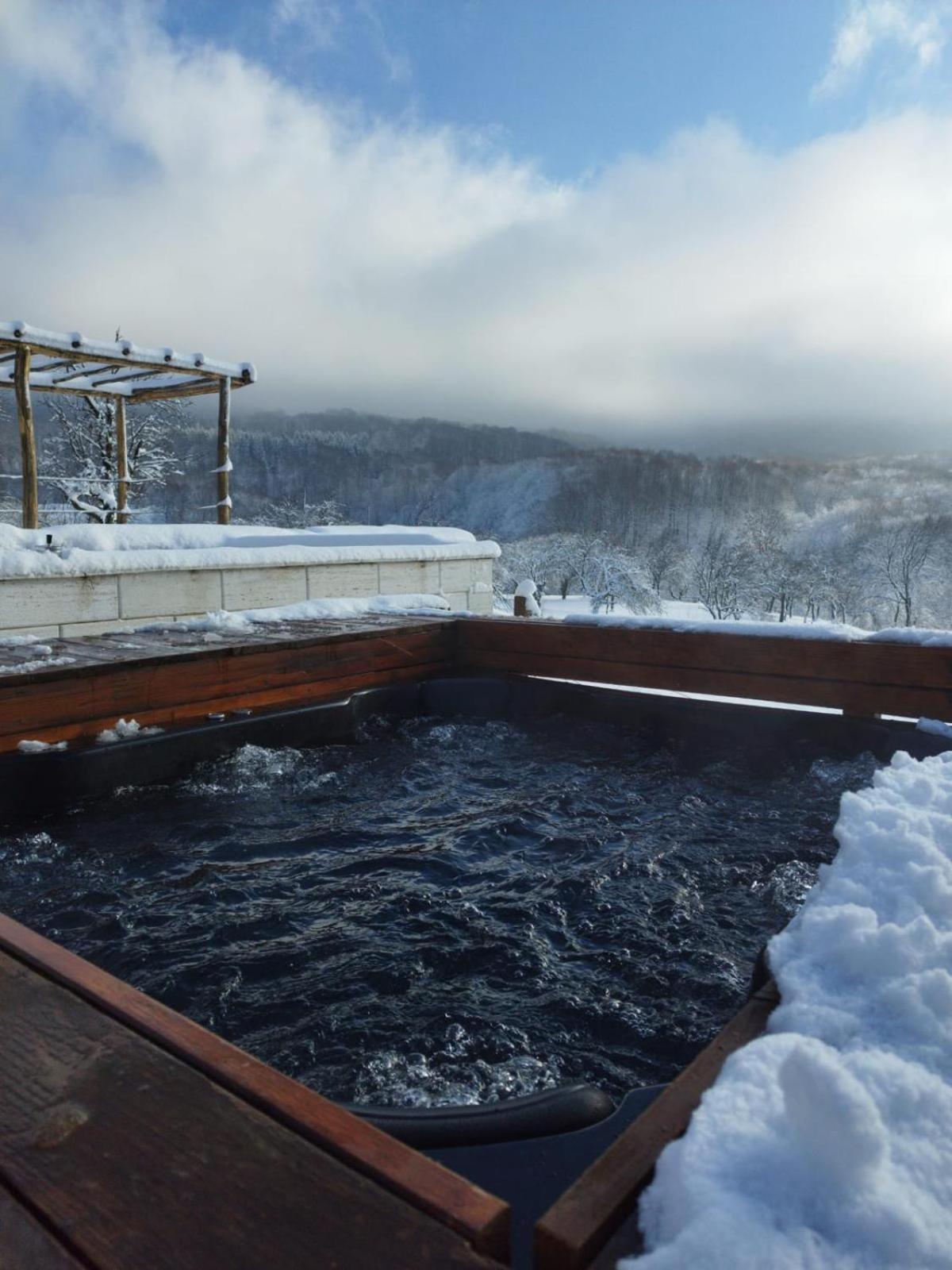 Le Chalet M - Cabana Cu O Panorama De Poveste. Surdesti  Екстер'єр фото